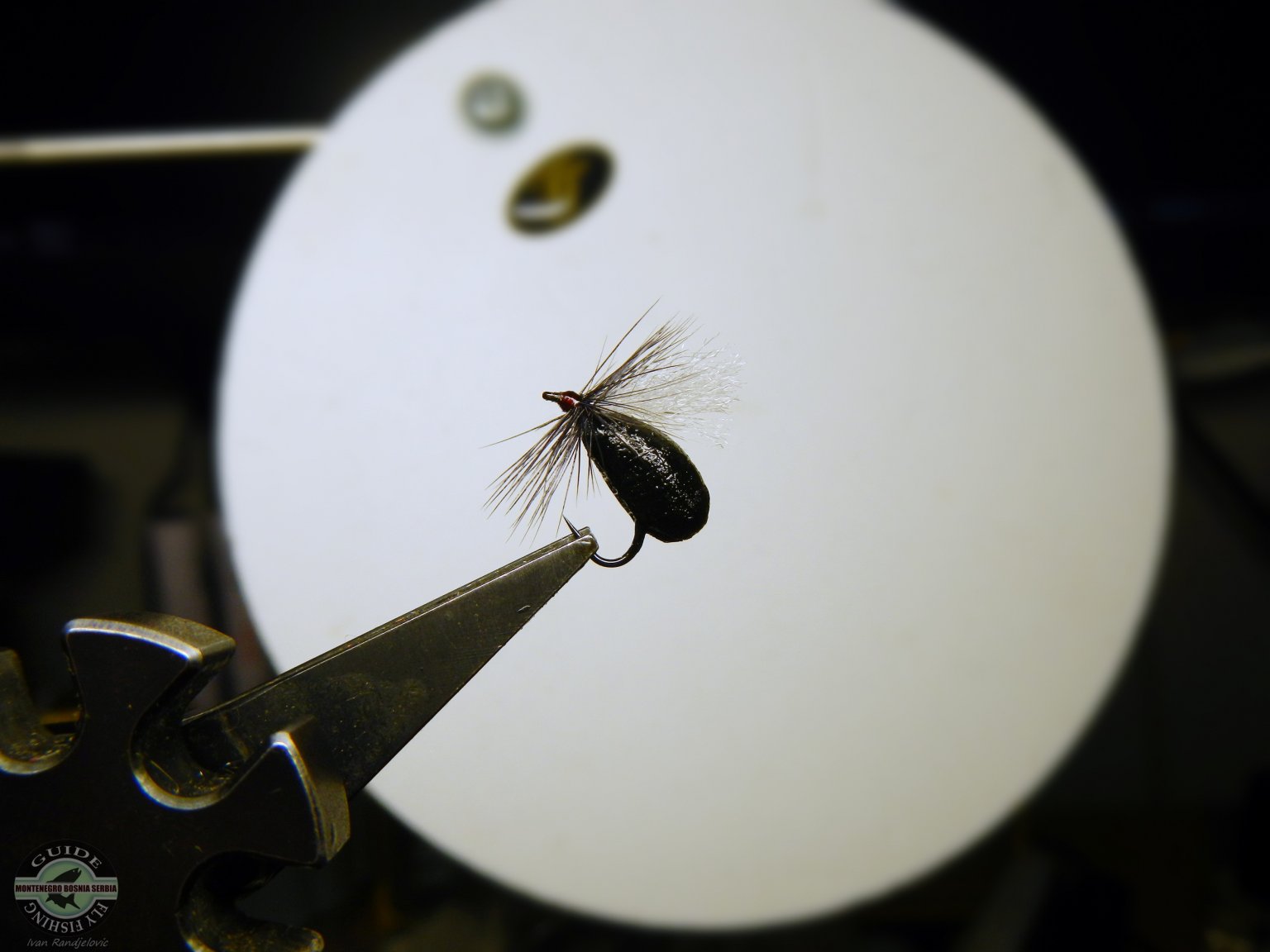 Field Fly The Legendary
